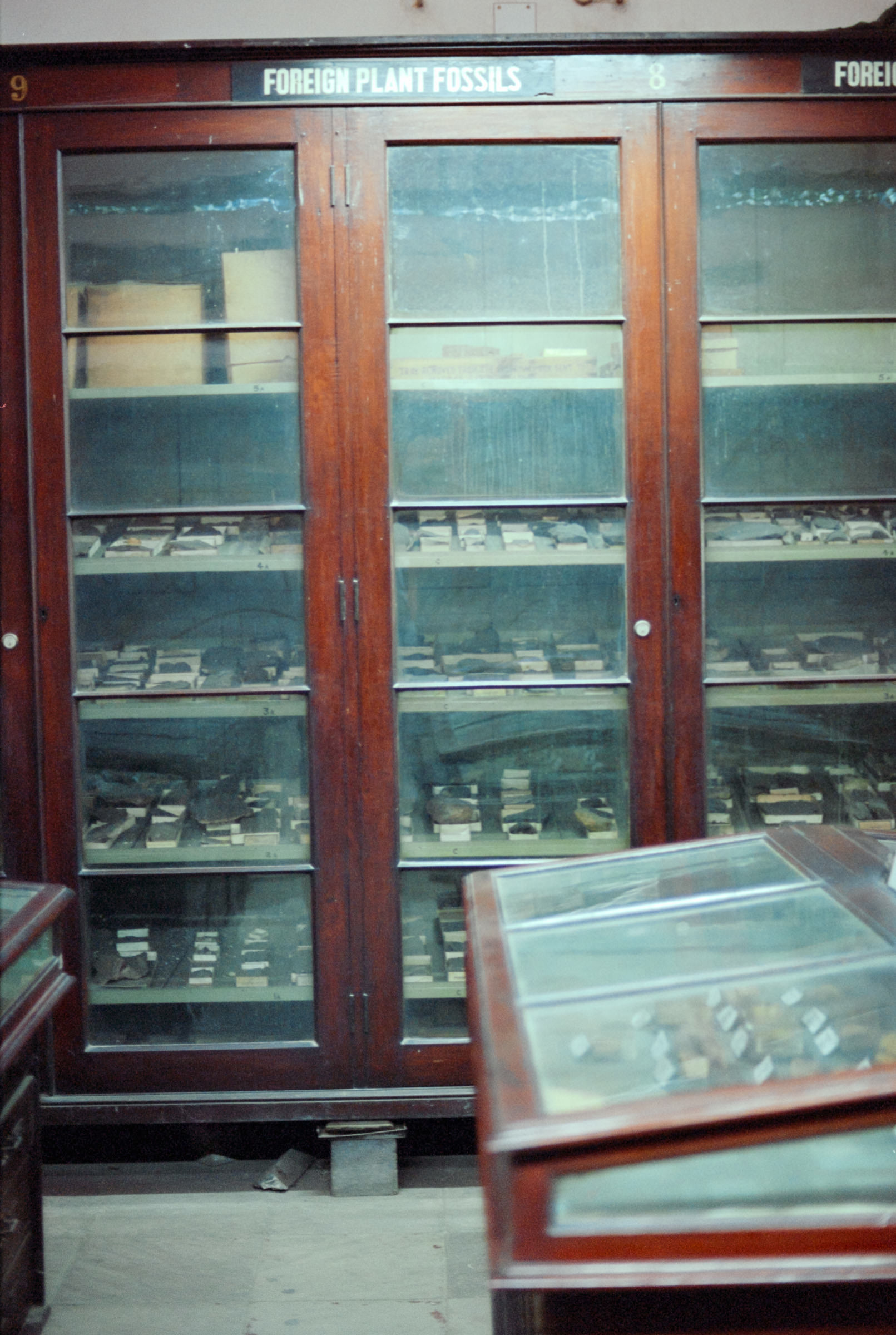 AHP film 2005 01 002 sc240825 img05 NLP